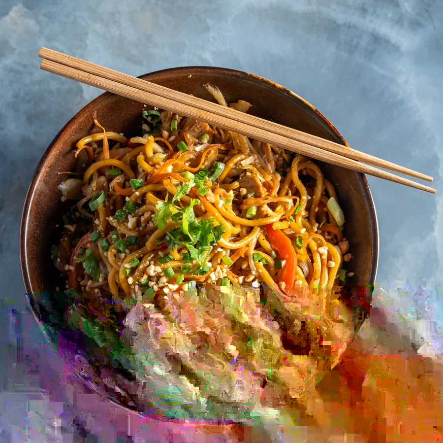 סטיר פריי נודלס- stir fry nodels